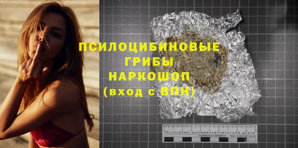 хмурый Лиски