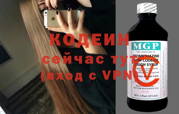хмурый Лиски