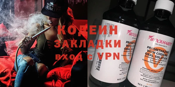 хмурый Лиски