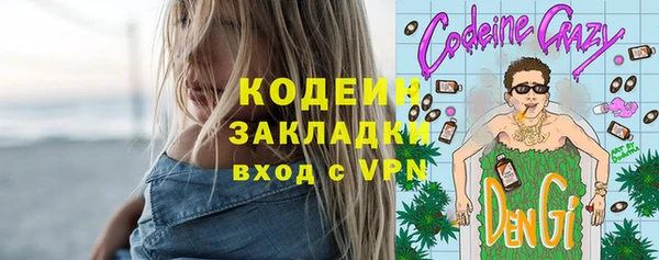 хмурый Лиски
