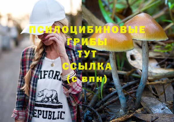 хмурый Лиски