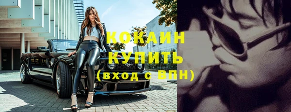 хмурый Лиски