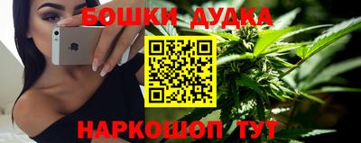 Альфа ПВП Кандалакша