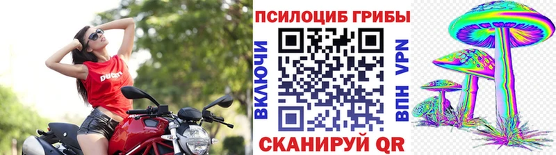 Псилоцибиновые грибы MAGIC MUSHROOMS  закладка  Чайковский 