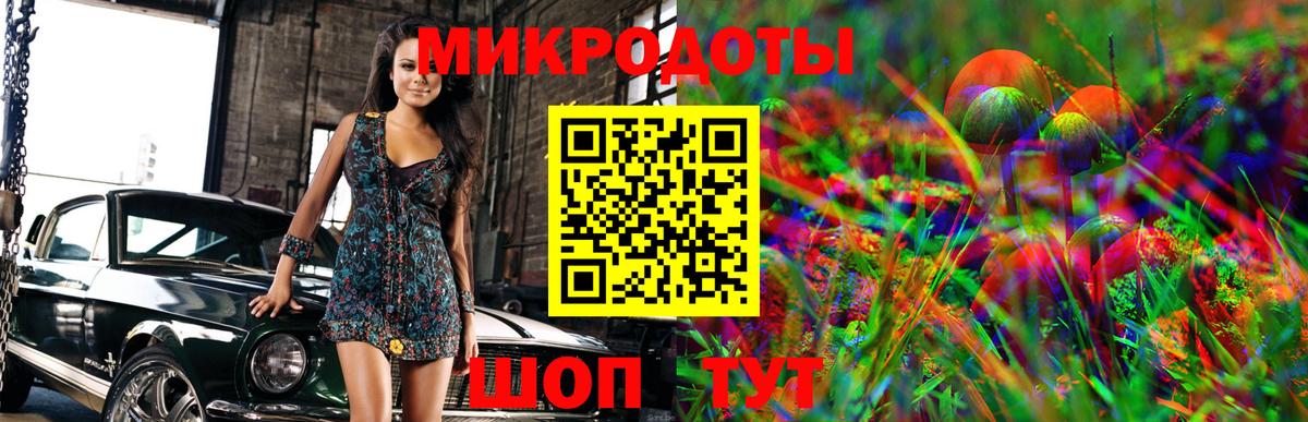 Галлюциногенные грибы Psilocybe Чайковский